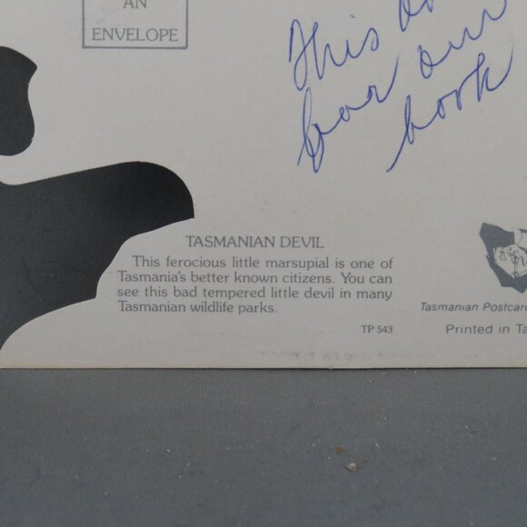 Vintage Postcard - Tasmanian Devil - Tasmanian Postcards - Picture 3 of 5